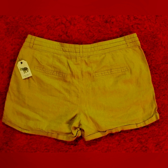 Women's Shorts - Picture 4 of 4